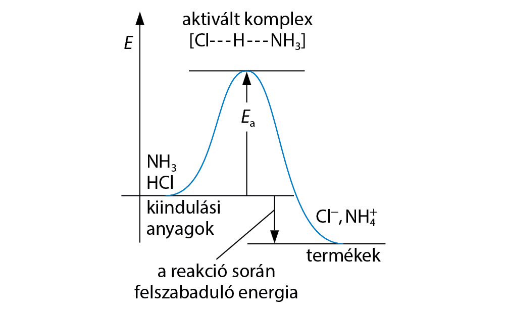 Endoterm Folyamat
